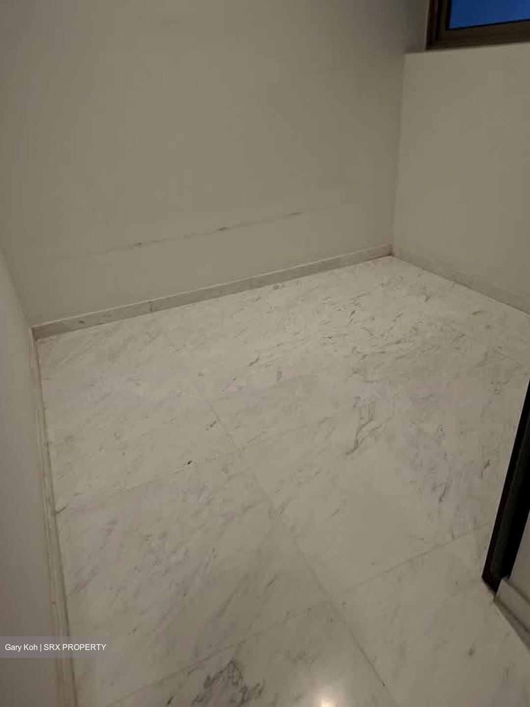 Cairnhill Nine (D9), Apartment #592873231